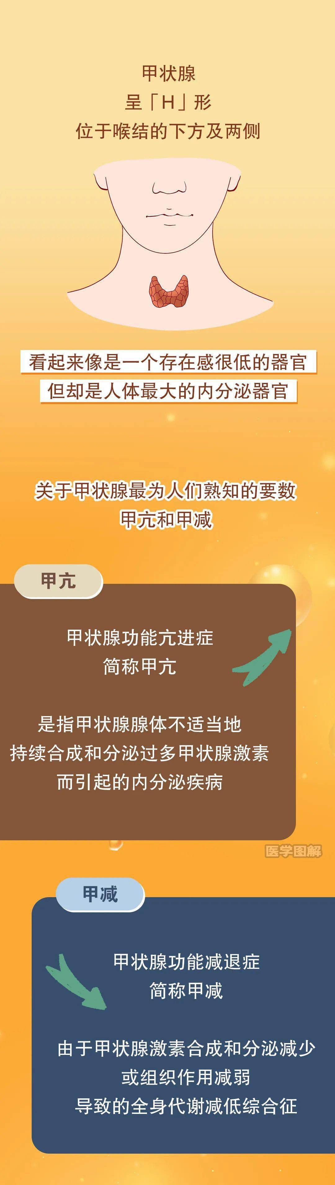 甲亢和甲减的区别 来自搜狐网