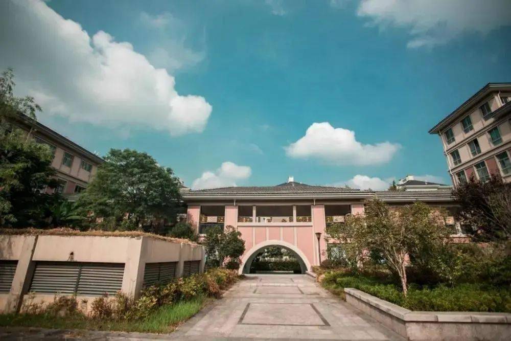 校园品牌特色展播 余杭街道这3所中小学校品牌亮,有特色!