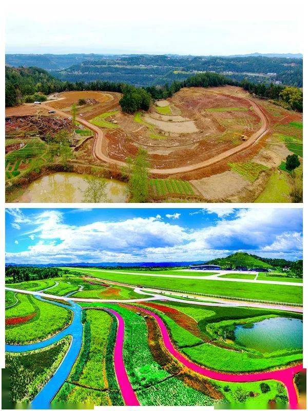 恩阳之变·田园恩阳_花田康