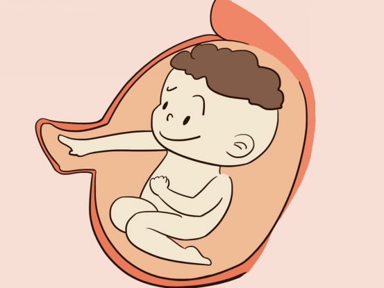 胎动在拱是胎儿在做什么？