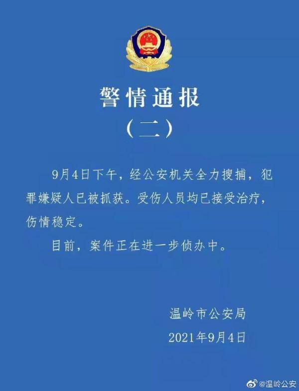 温岭公安就横峰菜场轿车撞人事件发布最新通报
