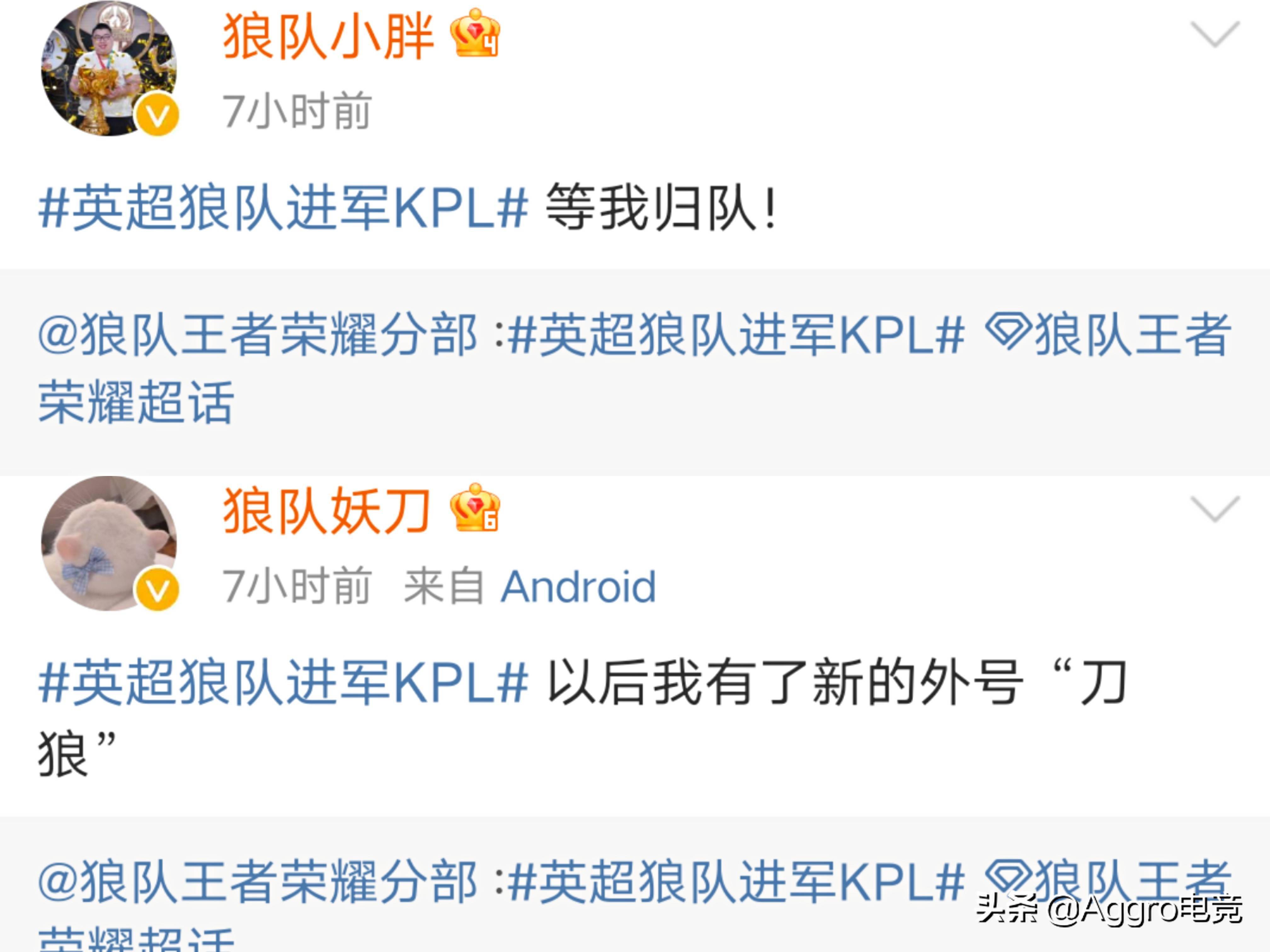 kpl:qg正式更名狼队!小胖妖刀激情发言,李九狼队相互原谅