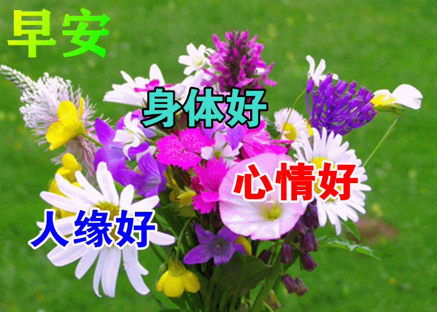 9月5日最漂亮早上好动态表情图片大全,早晨好动图美图