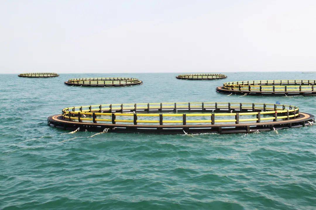 渔业旺季,联塑海洋养殖网箱助力渔民丰产丰收