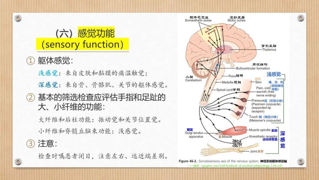 必备| 神经系统查体简要思路