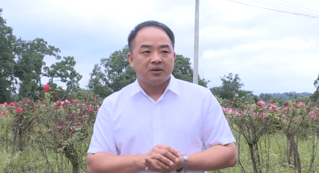 余海群到新城镇,彭店乡调研