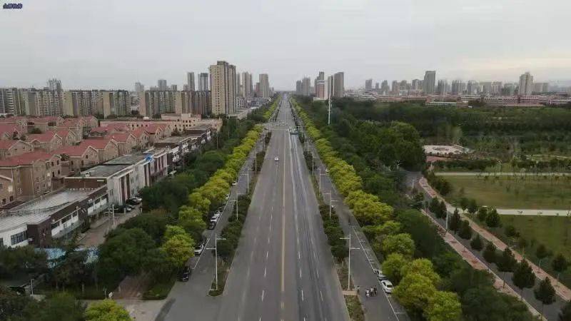 中站区城市管理局优化营商环境专项工作情况报告