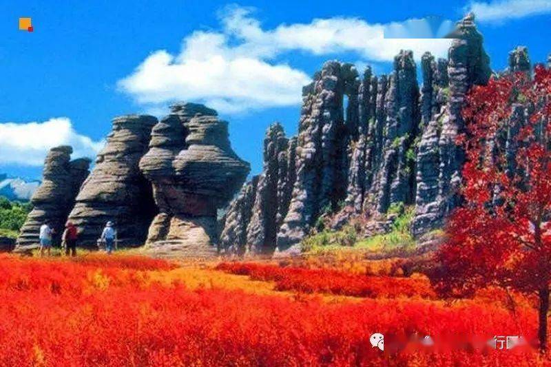 省区最近的集沙漠,草原,奇山,怪石,湖泊,原始次生林于一体的旅游景区