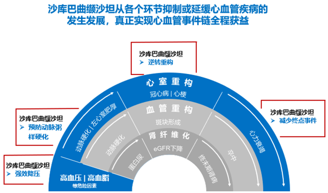 当高血压遇见冠心病看沙库巴曲缬沙坦如何成为治疗新选择