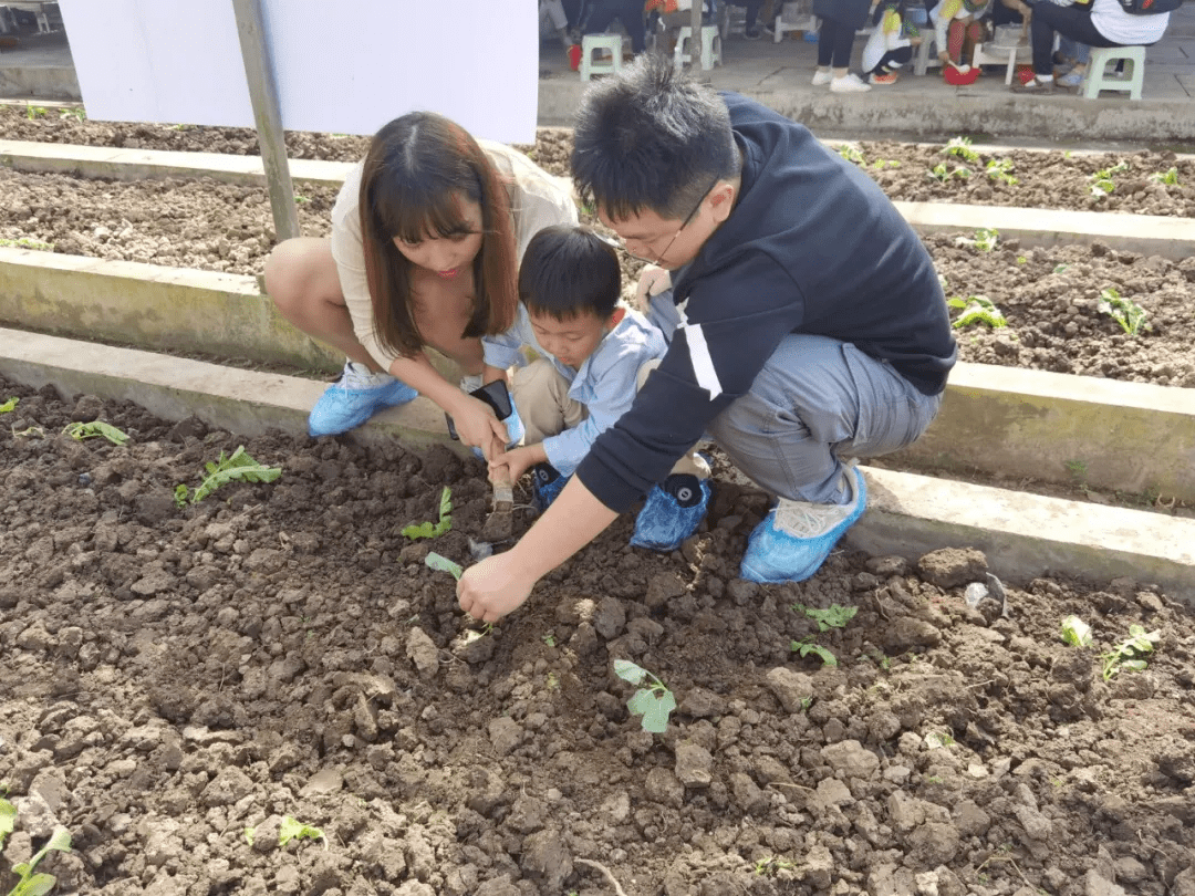 班级预订八桂田园画里说丰收节约正当时种菜选豆磨豆滤浆采摘青菜瓜果