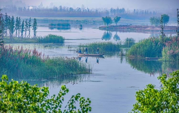 扬州北湖湿地公园:云天沧沧 秋水泱泱