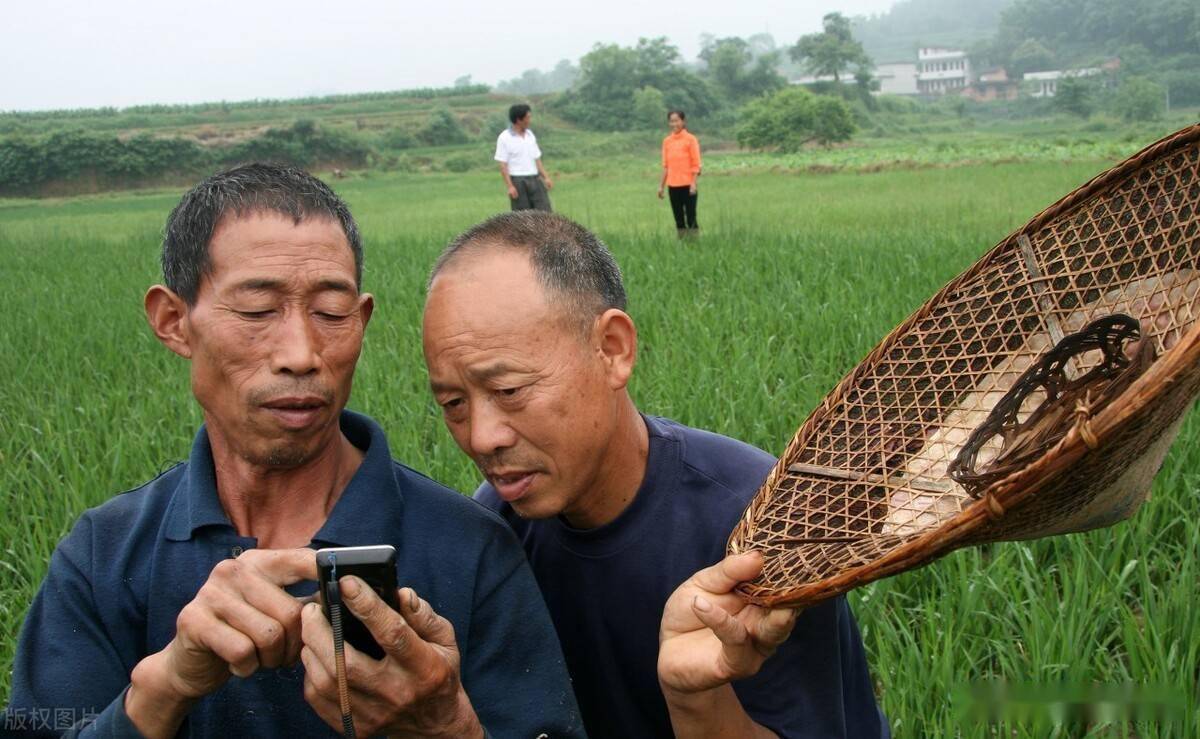 未来农村种田的人越来越少农民的出路在哪里