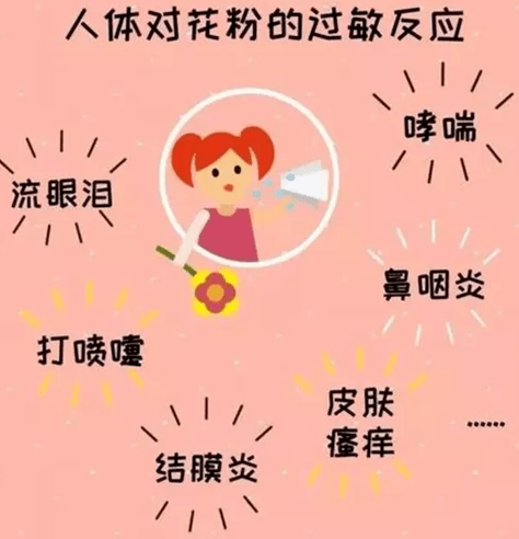 【科普知识】困扰你的"花粉过敏"是个啥?