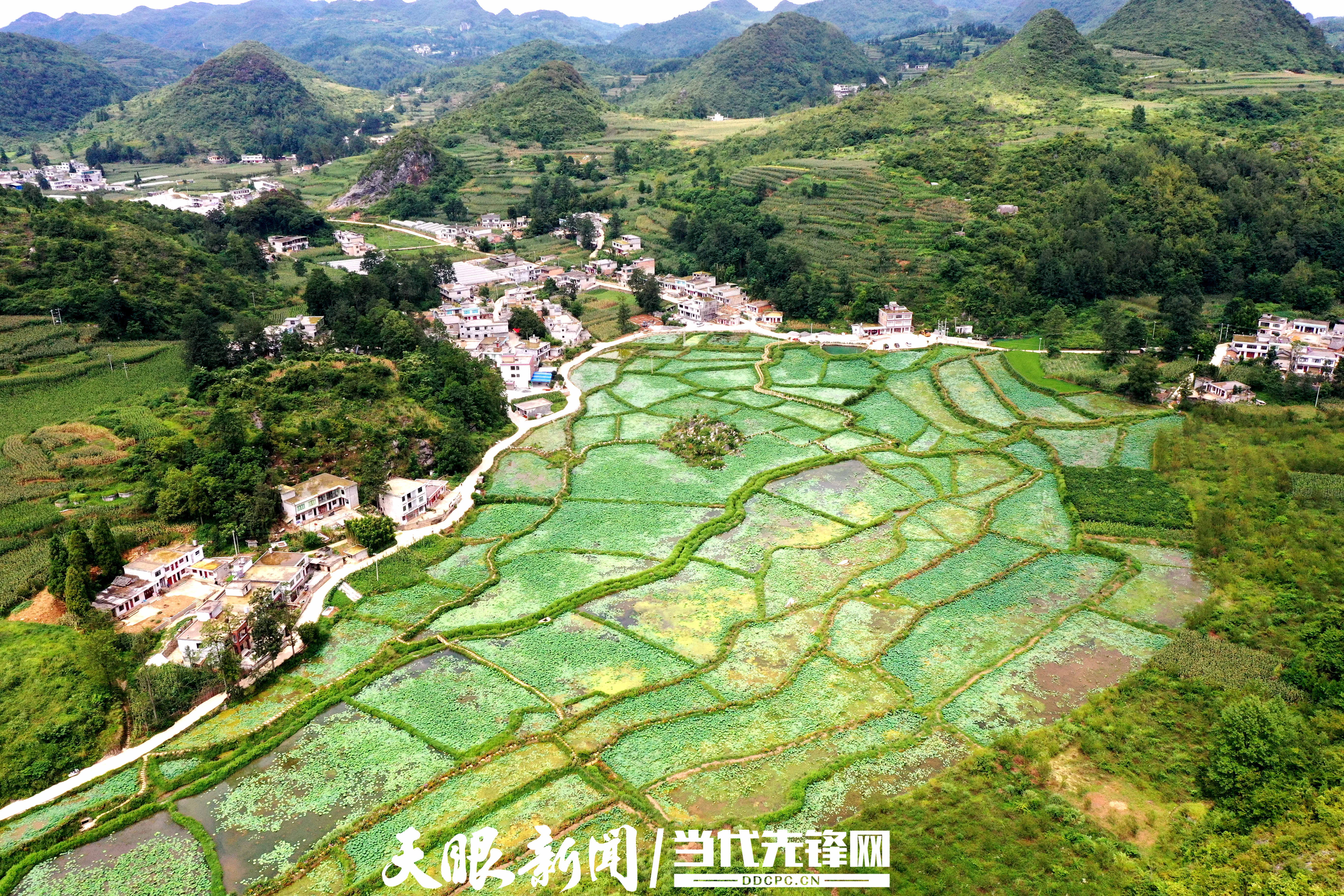 毕节:山水田园舒画卷 乡村振兴正当时_猫场镇