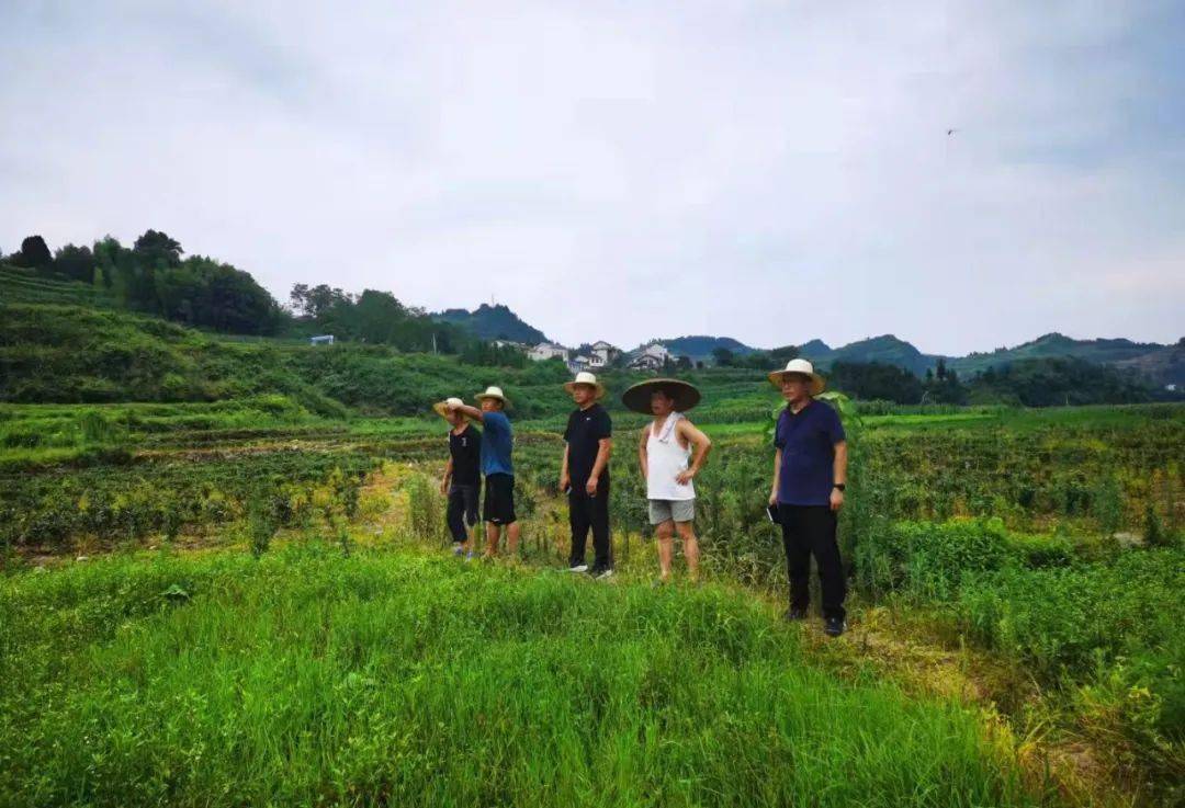 下河渠察看土地;下午,走访建档脱贫户;傍晚,与沈镇长走访孤儿胡泽兴