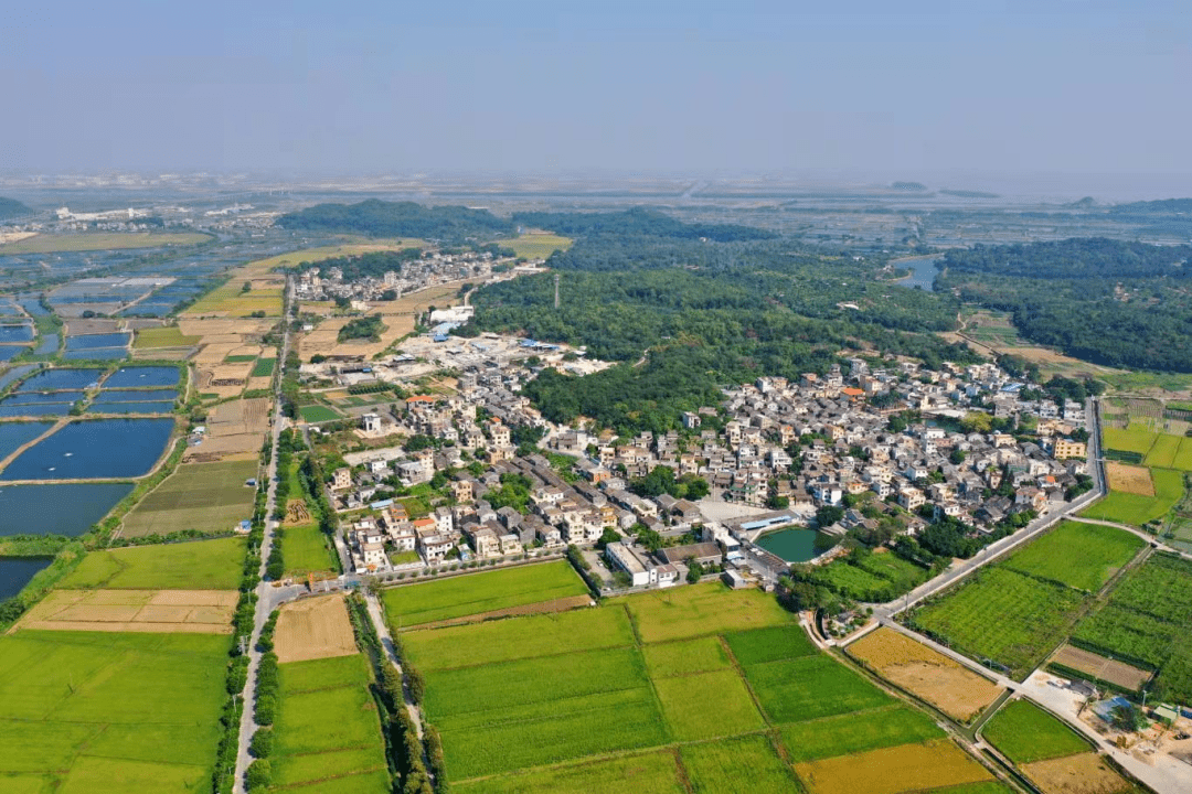 乡村"中山市南朗街道左步村参选"广东特色产业名村"横栏镇五沙村此外