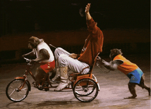 环球飞车特技表演