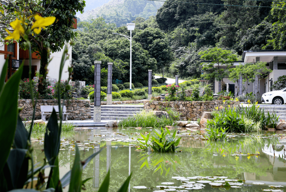 蒙花布村,邓村村 荣获"广东美丽乡村特色村"称号 大埔围村,莲塘村