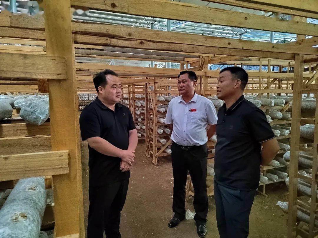 徐勃带队深入南部乡镇查看灾情和督导检查近期重点工作