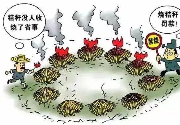 科普|秸秆焚烧的危害,你知道多少?