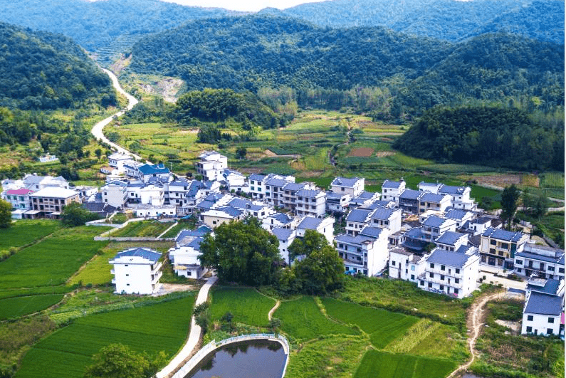 近年来,彭泽县立足资源禀赋和产业基础,把乡村振兴作为新时代"三农"