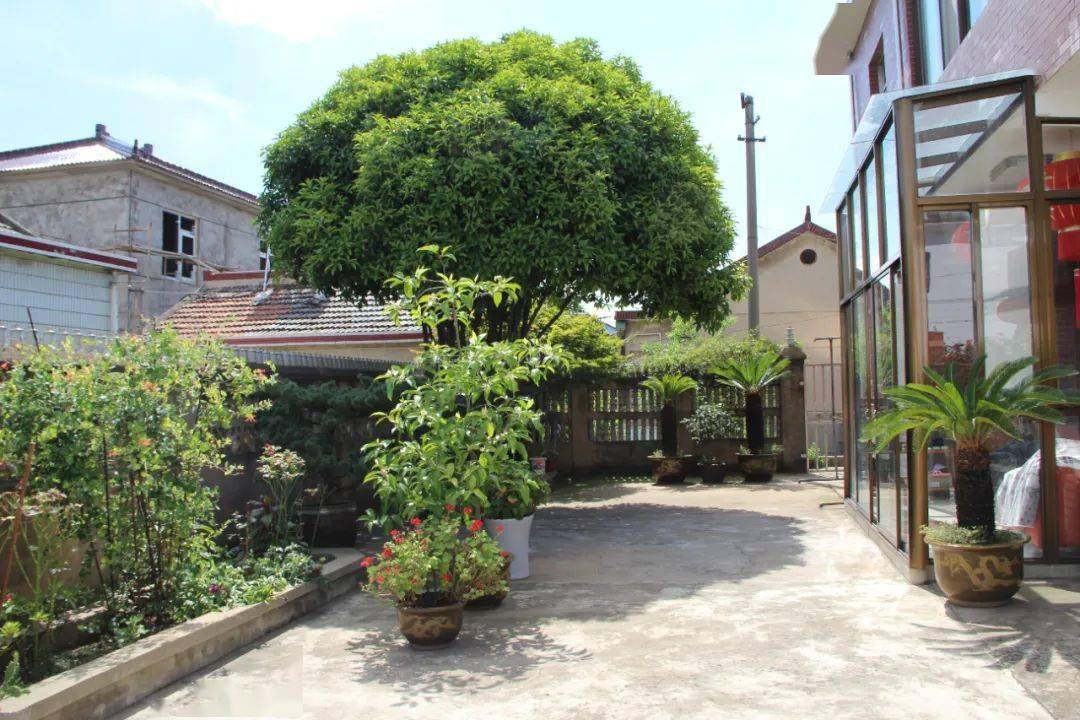 八卦洲街道妇联开展美丽庭院创建检查评比活动