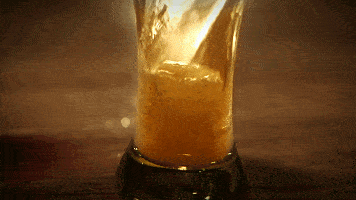 雪熊啤酒团购详情 100%纯正麦芽精酿 雪熊啤酒 礼盒装 原浆艾尔 500