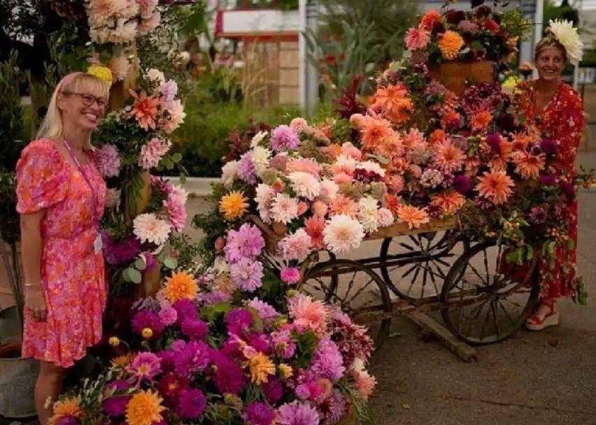 百年首次的切尔西花展,真的有太多惊喜了!