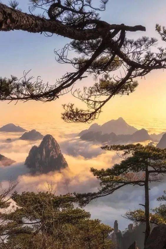 塔里木河 中国那巍峨霸气的雄壮山岳 泰山 中国那雄奇险峻的绝美峡谷