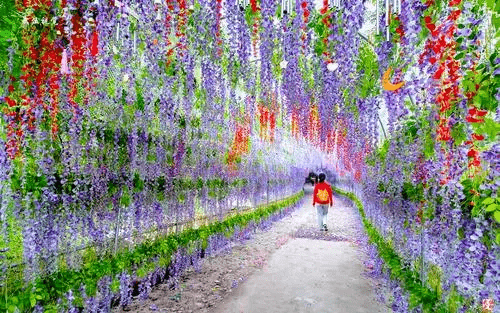 周末去哪儿 | 畅玩国庆 嗨在渔村_东寺