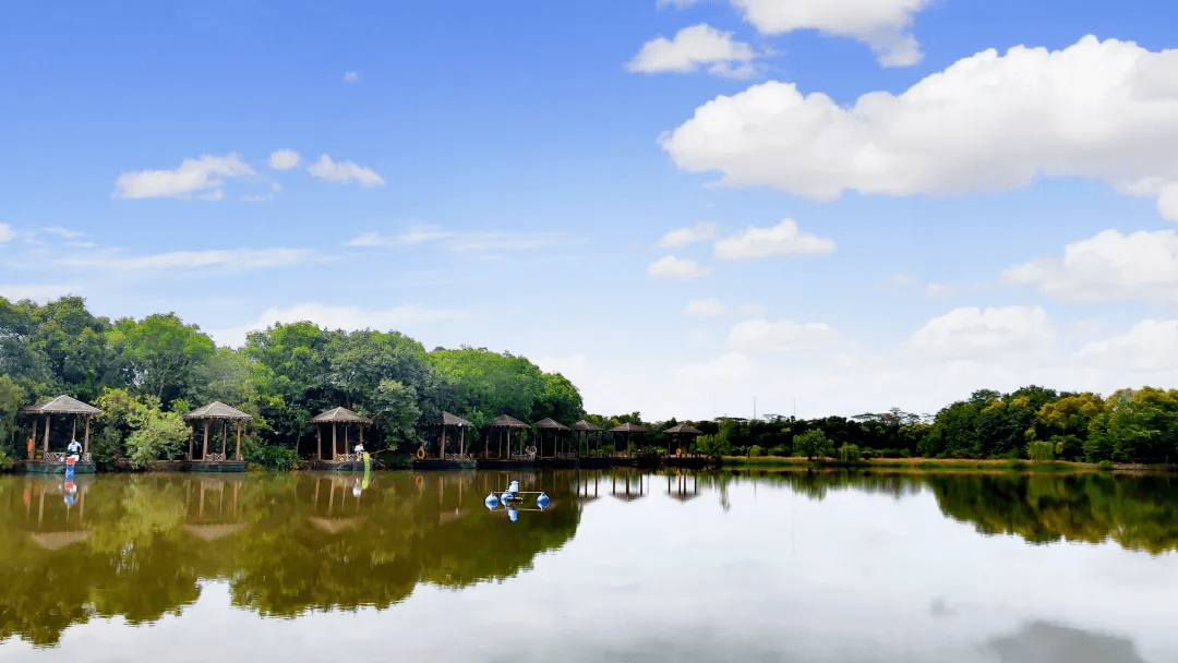 图/南沙湿地 在南沙湿地景区游玩 可以感受优美的自然景观 欣赏特有的
