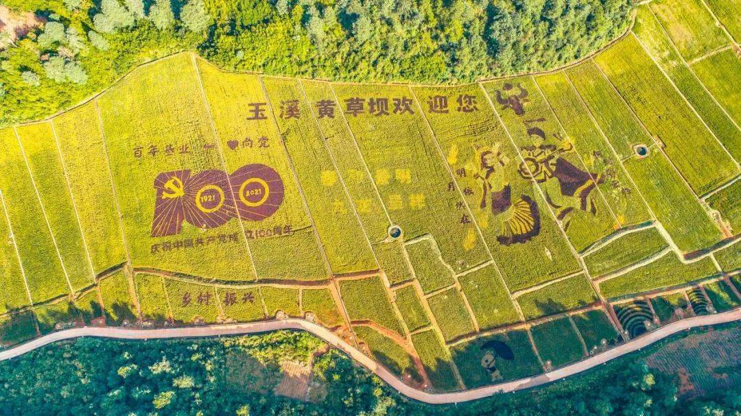 国庆最爱去玉溪丨当田园遇上咖啡,红塔区黄草坝新玩法
