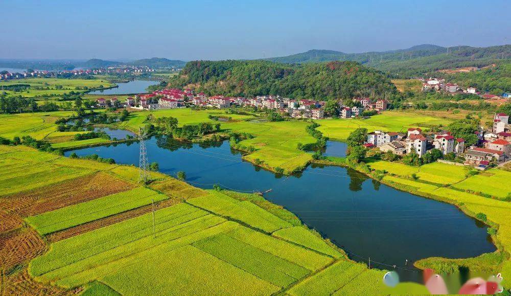 "丰"景如画庆佳节!_永丰县