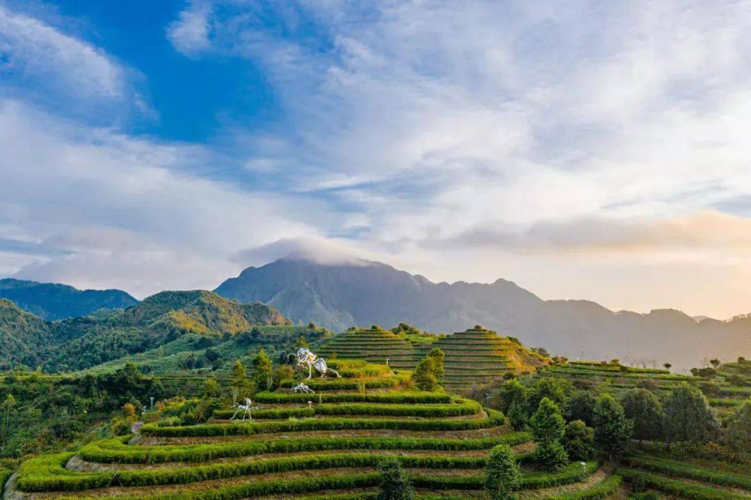 醉美金秋|来高峰谷,邂逅美景,约会秋天