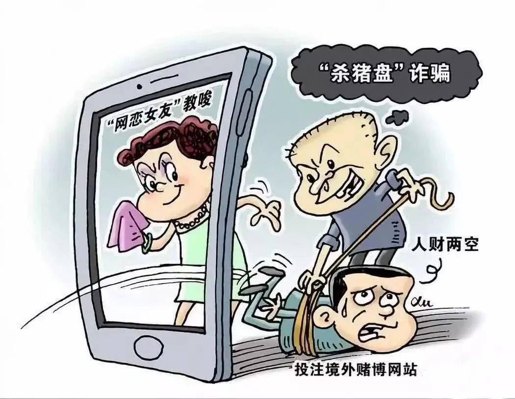 网络交友(杀猪盘)诈骗