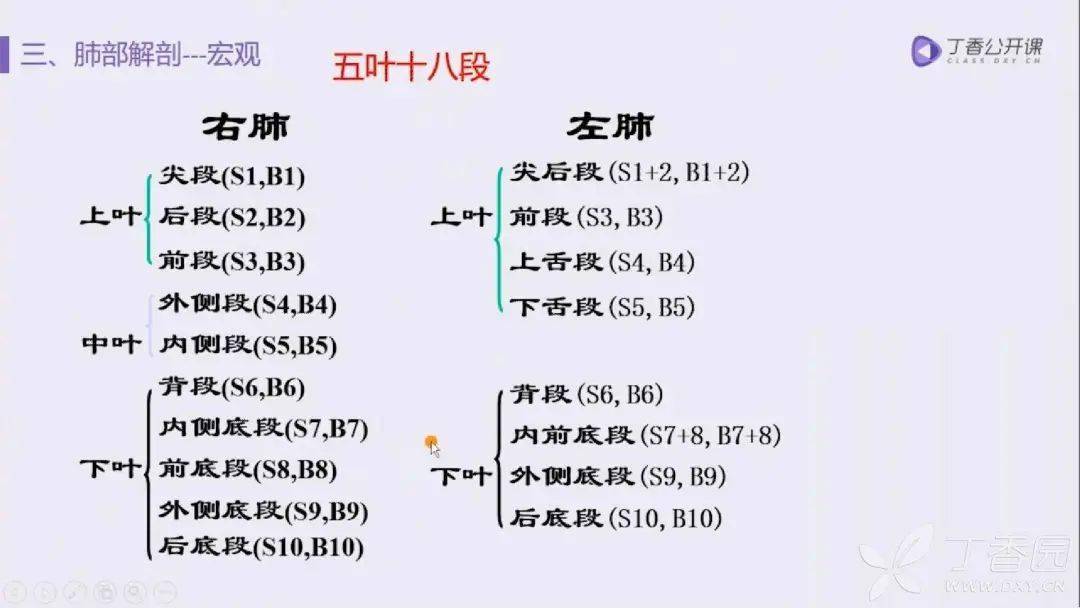 还留一点背2,对眼能看前后背3,双眼能看前和背4,嵴角出现能看中舌背5