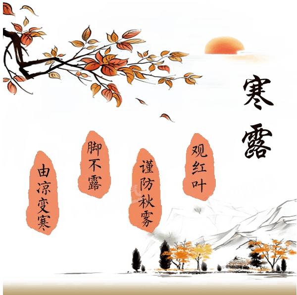 【全民战疫 以读攻毒】爱上简笔|二十四节气·寒露