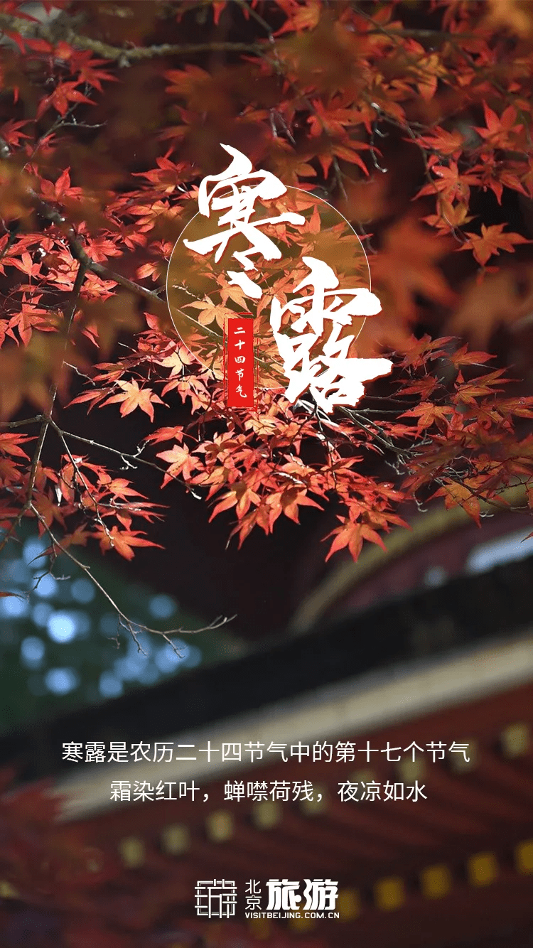 今日9时39分迎来"寒露"节气天气明显冷了不少是时候找个安静的地方