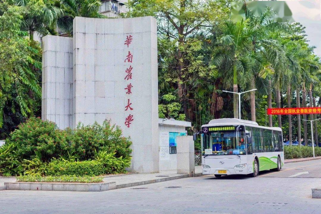 在华农迷路似乎成为新生们上大学的第一节课.