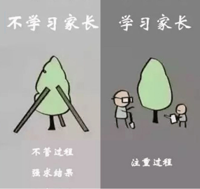 不学习的父母只关注结果,学习型的父母更注重过程