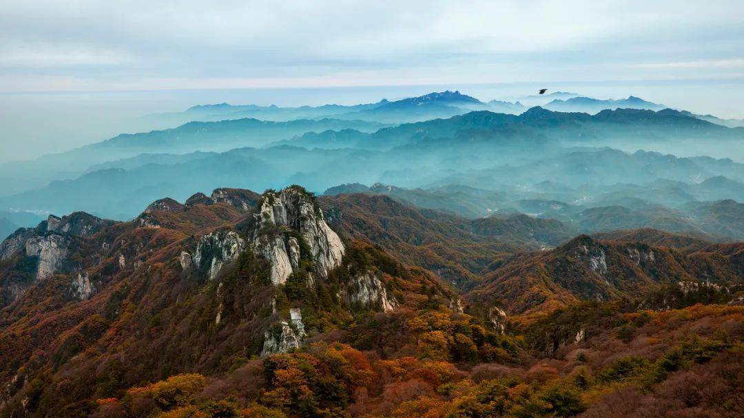 泡温泉赏红叶整整一个月尧山风景区免门票啦