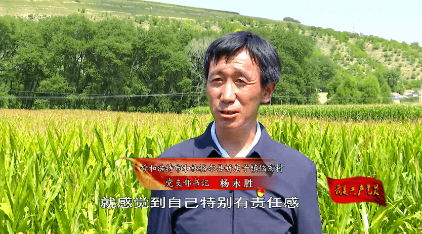 我是共产党员|杨永胜:改造耕地促增收 一心为民办实事