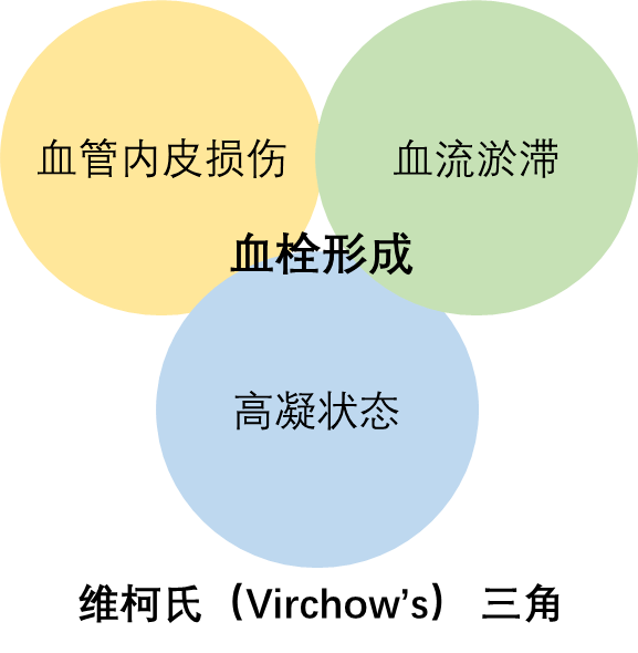 图为"virchow三角",指的是血栓形成的三个要素:血流淤滞,血管壁损伤