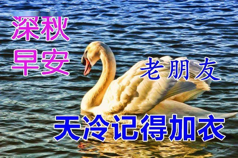 2021最新早上好祝福问候语句子送朋友秋高气爽动态表情图片