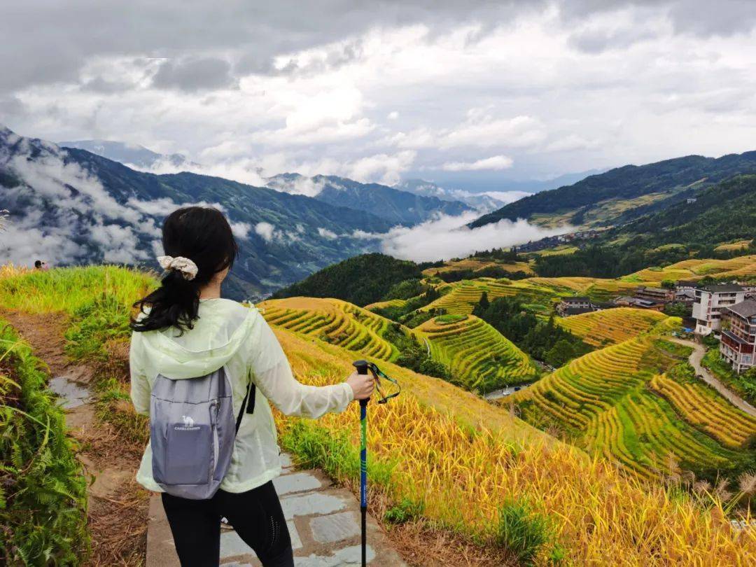 为了方便大家错峰出行 观看龙脊梯田金秋最美景色 龙脊梯田景区