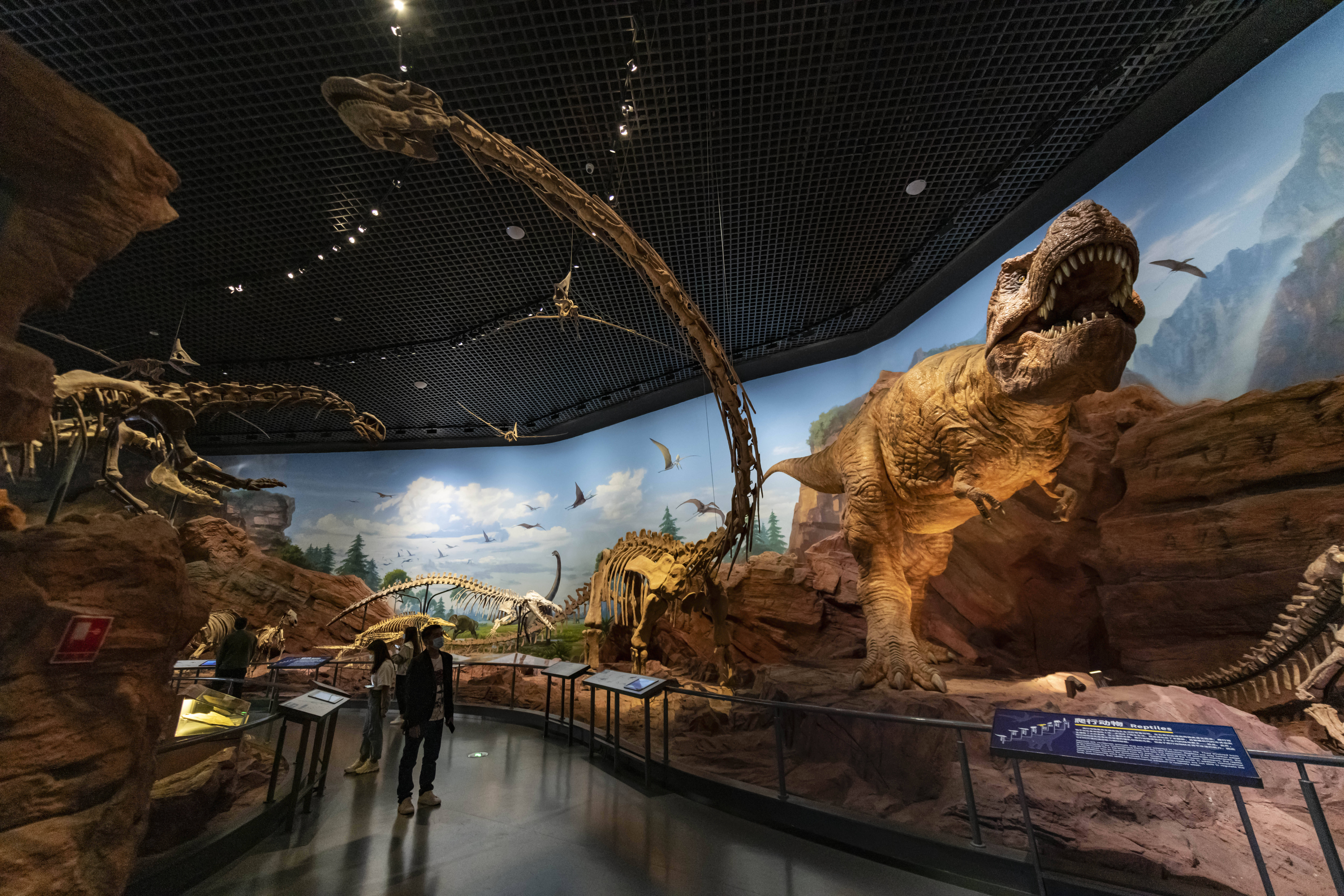 澄江化石地世界自然遗产博物馆位于云南省玉溪市,是集收藏,研究,展示