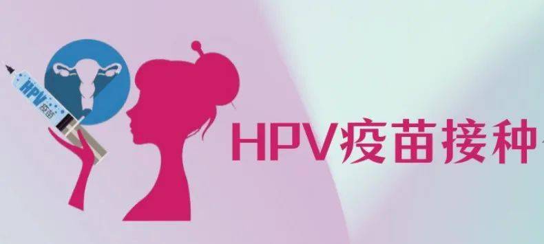 抓紧!文山新到一批四价,九价hpv疫苗