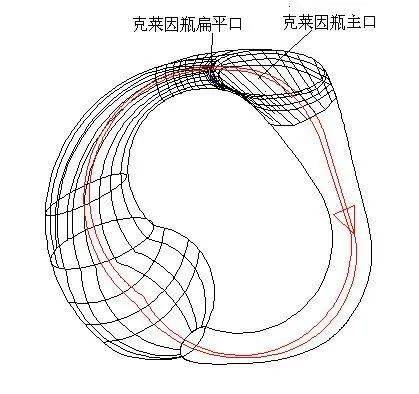 其实克莱因瓶是存在于四维空间中的瓶子,而目前克莱因瓶的的图片也