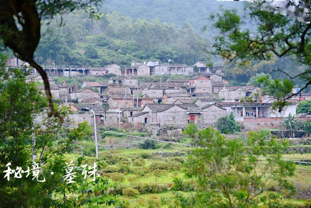 墓殊,地处惠安县紫山镇蓝田村,坐落在上图中的远山之处.