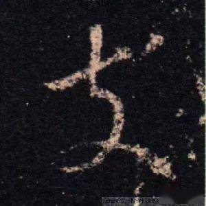 每日一字 | 支_张旭光